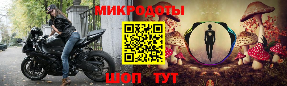 Псилоцибиновые грибы Psilocybe Верхняя Салда
