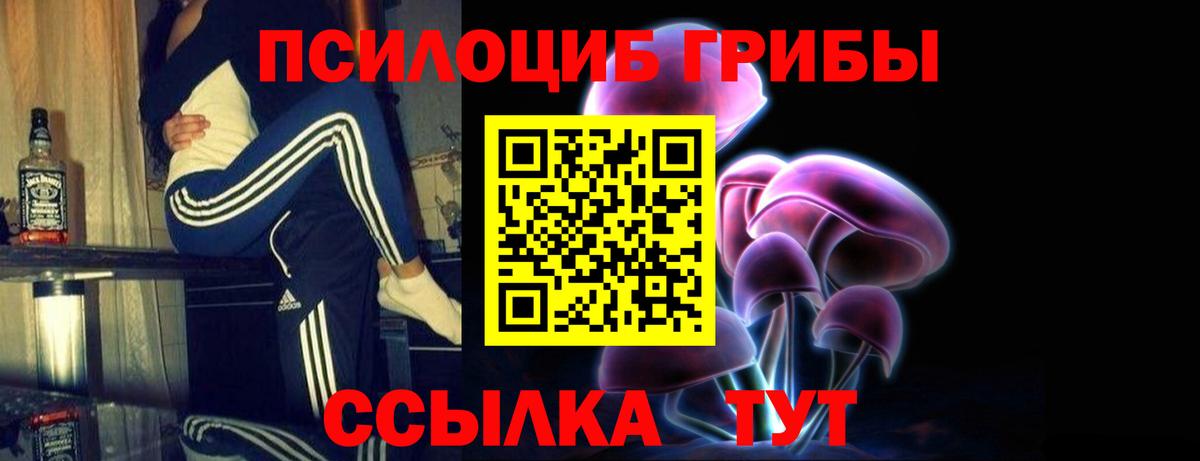 Верхняя Салда  Галлюциногенные грибы Psilocybe  закладка  Галлюциногенные грибы Magic Shrooms  Вход с VPN 